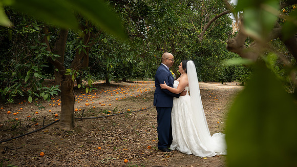 1349_DossWedding_030125