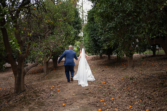 1394_DossWedding_030125