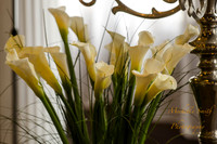 0226_West_111713
