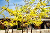 0295_EVWD_033026