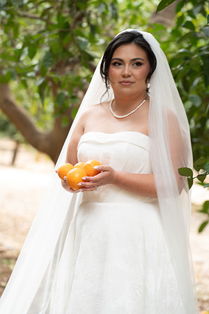 1265_DossWedding_030125