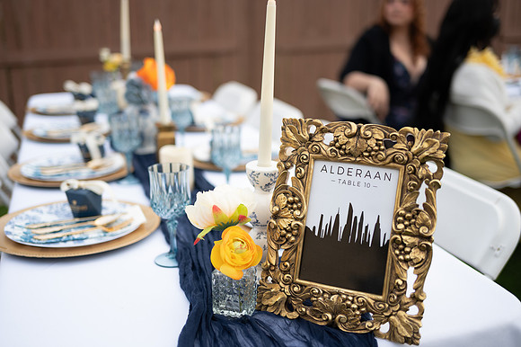 1494_DossWedding_030125