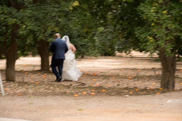1254_DossWedding_030125
