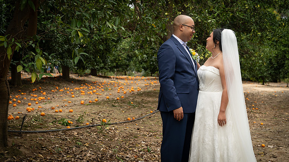 1331_DossWedding_030125