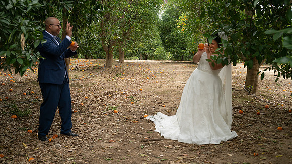 1278_DossWedding_030125