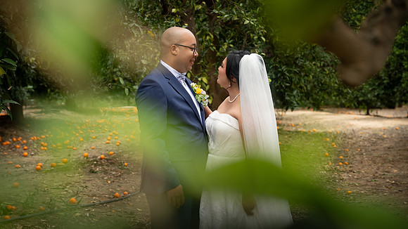 1333_DossWedding_030125