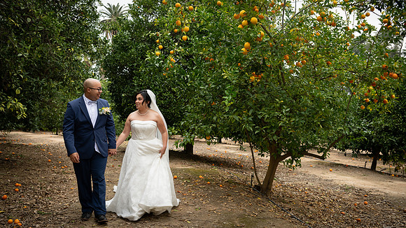 1308_DossWedding_030125