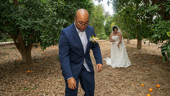 1287_DossWedding_030125