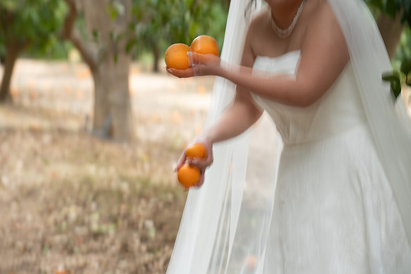 1267_DossWedding_030125