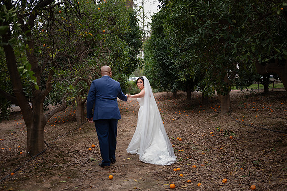 1386_DossWedding_030125