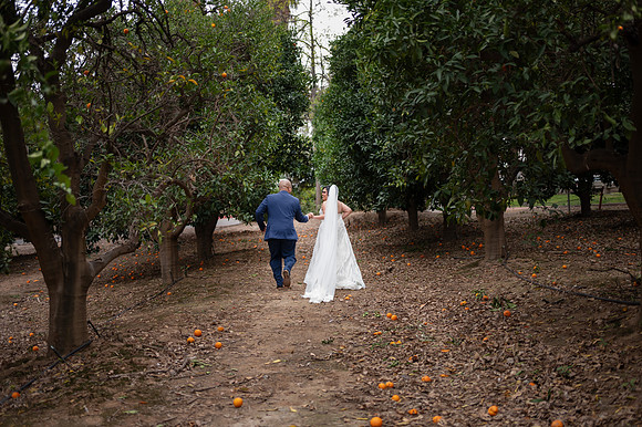 1401_DossWedding_030125