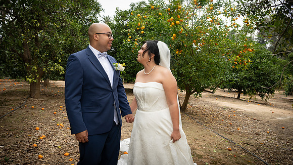1317_DossWedding_030125