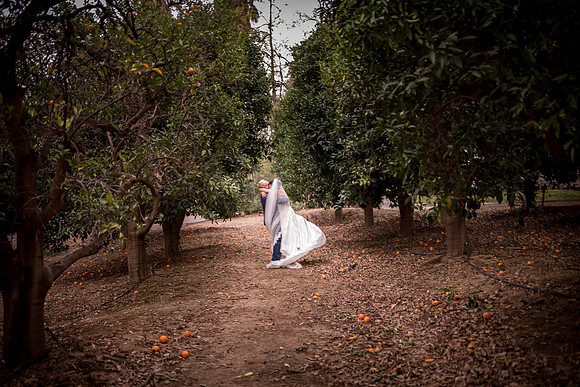 1425_DossWedding_030125