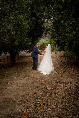 1415_DossWedding_030125