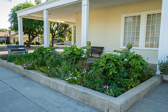 _NZ81534