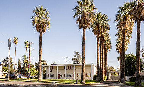 _NZ81511